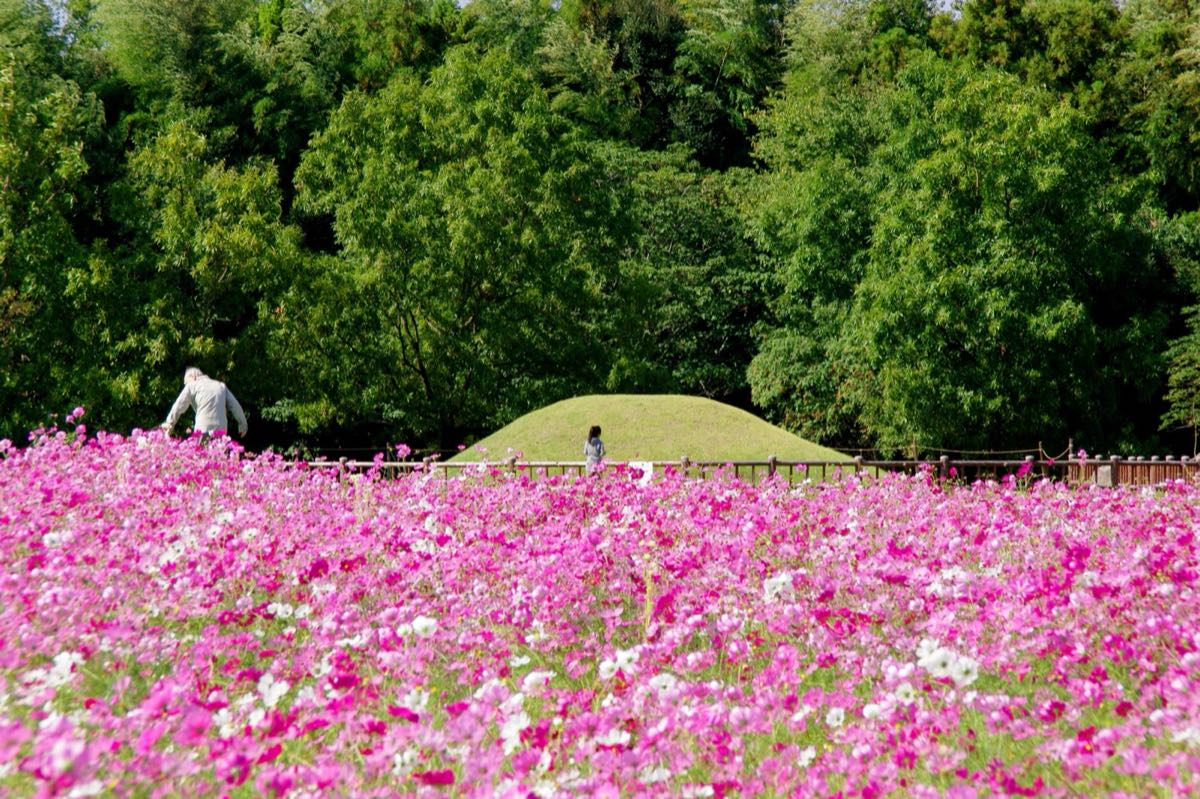 平原歴史公園